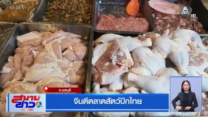 จีนตีตลาดสัตว์ปีกไทย