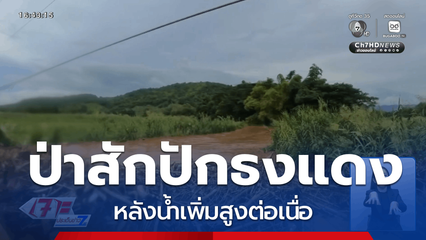 "ป่าสัก" ปักธงแดง หลังน้ำเพิ่มสูง จ.เพชรบูรณ์