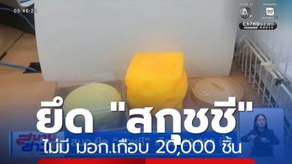สมอ.ยึด "สกุชชี" เกือบ 20,000 ชิ้น
