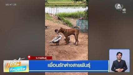 เพื่อนรักต่างสายพันธุ์ จ.กาฬสินธุ์