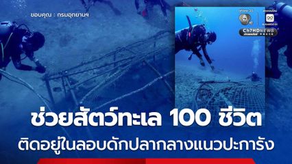 ช่วยสัตว์ทะเล 100 ชีวิต ติดอยู่ในลอบดักปลากลางแนวปะการัง