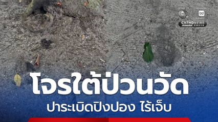 โจรใต้ป่วนวัด ปาระเบิดปิงปอง ไร้เจ็บ