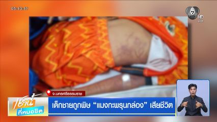 เด็กชายถูกพิษ “แมงกะพรุนกล่อง” เสียชีวิต