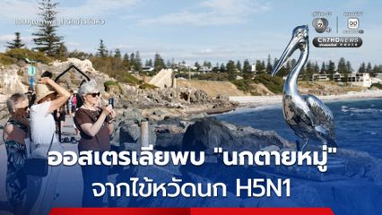 ออสเตรเลียพบ 'นกตายหมู่'  จากไข้หวัดนก H5N1 เตือนพร้อมรับมือการระบาด