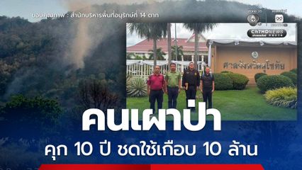 คนเผาป่า ศาลลงโทษจำคุก 10 ปี ชดใช้เกือบ 10 ล้าน