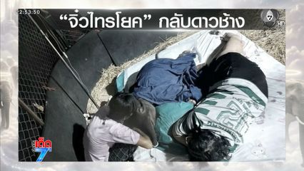 สุดยื้อ ลูกช้างป่าหลงโขลงกลับดาวช้าง จ.กาญจนบุรี