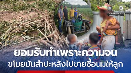 รวบพ่อวัย 25 ปี ขโมยมันสำปะหลังไปขายซื้อนมให้ลูก ยอมรับทำเพราะความจน