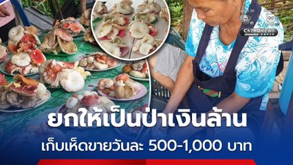 ยกให้เป็นป่าเงินล้าน เก็บเห็ดขายวันละ 500-1,000 บาท