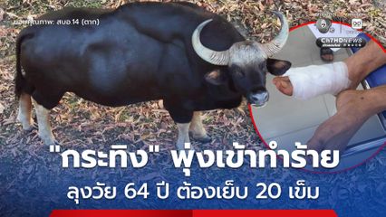 “กระทิง” พุ่งเข้าทำร้ายลุงวัย 64 ปี ขณะตัดหญ้า เป็นแผลที่หลังเท้าขวาต้องเย็บแผลถึง 20 เข็ม