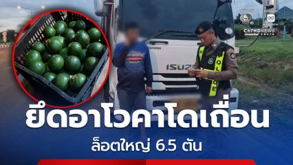 สกัดจับขบวนการลักลอบนำเข้าอาโวคาโดเถื่อน ล็อตใหญ่น้ำหนักรวมกว่า 6.5 ตัน คนขับรถ 6 ล้อ รับสารภาพได้ค่าจ้าง 5,000 บาท มุ่งหน้าส่งตลาดดังโคราช
