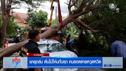พายุถล่ม ต้นไม้โค่นทับรถ คนรอดตายหวุดหวิด