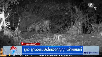 รู้ตัว ลูกของแม่เสือโคร่งอภิญญา ขย้ำเจ้าหน้าที่
