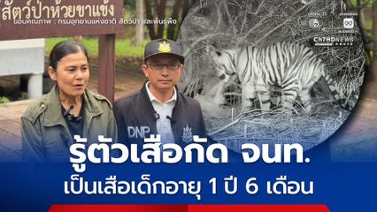 กรมอุทยานฯ แถลงความคืบหน้ากรณีเสือโคร่งทำร้ายเจ้าหน้าที่ห้วยขาแข้งเสียชีวิต โดยรู้ตัวเสือที่ก่อเหตุแล้ว เป็นลูกเสือวัยซน