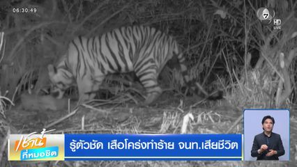 รู้ตัวชัด เสือโคร่งทำร้าย จนท.เสียชีวิต