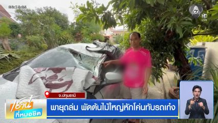 ฝนฟ้าอากาศเช้านี้ 7 ส.ค.69 | พายุถล่ม พัดต้นไม้ใหญ่หักโค่นทับรถเก๋ง จ.ปทุมธานี