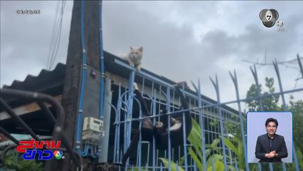 เพื่อนฉันต้องรอด