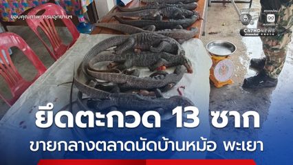 บุกรวบแม่ค้ากลางตลาดนัดบ้านหม้อ พะเยา ยึด “ซากตะกวด” ได้ 13 ซาก ซึ่งเป็นสัตว์ป่าคุ้มครอง