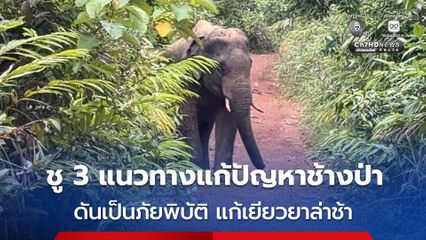 “กุลวลี” หารือทุกฝ่าย ชู 3 แนวทาง แก้ปัญหาช้างป่า หนุนดัน “ภัยสัตว์ป่า” เป็นภัยพิบัติแก้เยียวยาล่าช้า