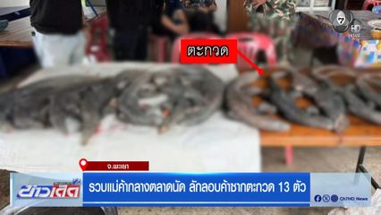 รวบแม่ค้ากลางตลาดนัด ลักลอบค้าซากตะกวด 13 ตัว