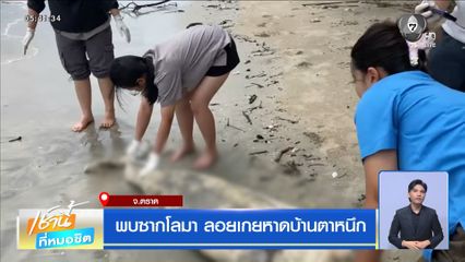 พบซากโลมา ลอยเกยหาดบ้านตาหนึก
