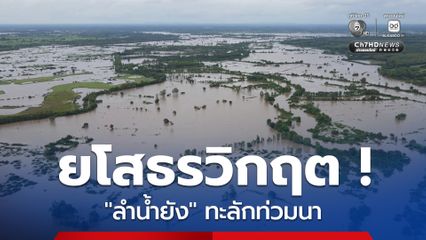 จ.ยโสธร วิกฤต ปริมาณน้ำใน "ลำน้ำยัง" เพิ่มสูงขึ้นต่อเนื่อง เอ่อล้นท่วมนาข้าว พื้นที่การเกษตร มวลน้ำเหนือไหลมาสบทบต่อเนื่อง เร่งเปิดประตูเขื่อนทั้ง 8 บาน ระบายน้ำด่วน
