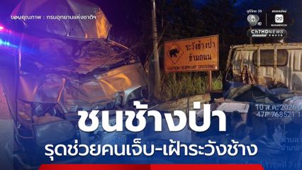 รถตู้ชนช้างป่า สบอ.2 รุดช่วยคนเจ็บ ส่งทีมติดตามประเมินอาการช้าง