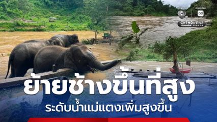 "บ้านช้างตระกูลแสน" ย้ายช้างขึ้นที่สูง เตรียมรับฝนค่ำนี้ พร้อมเฝ้าติดตามระดับน้ำแม่แตง เนื่องจากยังมีความเสี่ยงที่ปริมาณน้ำจะเพิ่มสูงขึ้น