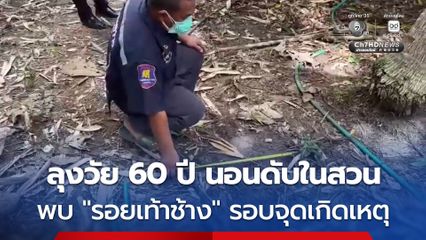 ชายวัย 60 ปี นอนเสียชีวิตข้างรั้วในบ้านสวน บนพื้นมี “รอยเท้าช้าง” คาดถูกช้างทำร้ายดับ