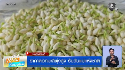 ราคาดอกมะลิพุ่งสูง รับวันแม่แห่งชาติ