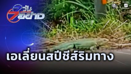7 วัน 7 อย่าง : เอเลี่ยนสปีชีส์ริมทาง