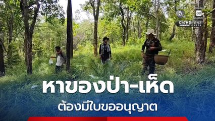 อช.ทับลาน ประกาศหาของป่า-เห็ด ต้องมีใบขออนุญาตทุกคน หลังจากชาวบ้านทั่วทุกสารทิศ แห่มาหาเห็ดกันล้น หวั่นหลงป่า และเกิดอันตราย แจ้งเริ่มเปิดทำบัตร 13 ส.ค. นี้