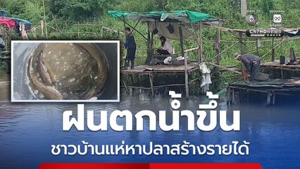 ฝนตกน้ำขึ้น ชาวบ้านแห่หาปลา สร้างรายได้งาม