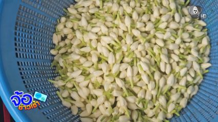 ราคาดอกมะลิพุ่งสูง รับวันแม่แห่งชาติ