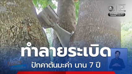 ทำลายระเบิด ปักคาต้นมะค่า นาน 7 ปี จ.บุรีรัมย์