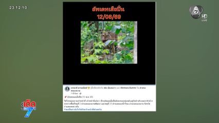 เสือปิ่น หลุดรอบ 3 บุกพื้นที่ชุมชน เตือนชาวบ้านระวัง
