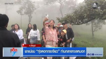 พาแม่ชม ทุ่งดอกกระเจียว ท่ามกลางทะเลหมอก
