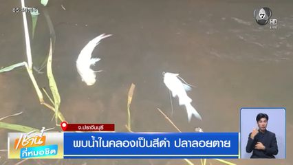 พบน้ำในคลองเป็นสีดำ ปลาลอยตาย