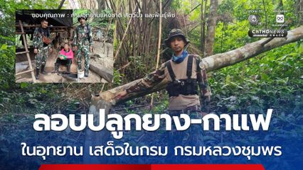 รวบชายลักลอบปลูกยาง-กาแฟ ในป่าอนุรักษ์​อุทยาน เสด็จในกรม กรมหลวงชุมพร