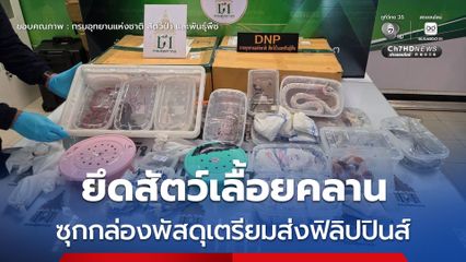 เจ้าหน้าที่ยึดสัตว์เลื้อยคลานกว่า 120 ตัว ซุกกล่องพัสดุเตรียมส่งฟิลิปปินส์