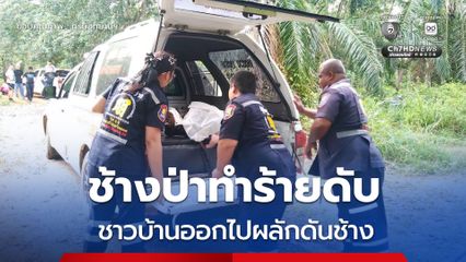 ชาวบ้านออกผลักดันช้างป่า ถูกทำร้ายดับ ทาง “รมว.สุชาติ” เสียใจ สั่งกรมอุทยานฯ เร่งเยียวยาครอบครัว