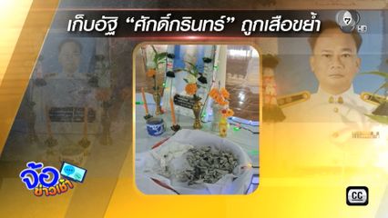 เก็บกระดูกเหยื่อเสือโคร่ง ย้ำปมเสือขย้ำ