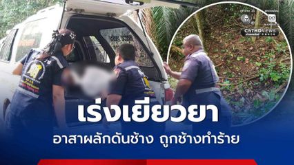 ชุดอาสาผลักดันช้างป่าเสียชีวิต อุทยานฯกุยบุรี เร่งเยียวยาครอบครัว