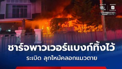 ชาร์จพาวเวอร์แบงก์ทิ้งไว้ ระเบิด เพลิงลุกไหม้คลอกแมวตาย