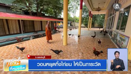 วอนหยุดทิ้งไก่ชน ให้เป็นภาระวัด