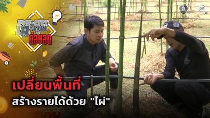 ตะลุยต่อยอด : เปลี่ยนพื้นที่ สร้างรายได้ด้วย ไผ่