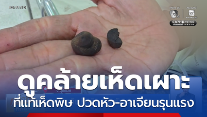 ชาวบ้านกินเห็ดพิษ ปวดหัว-อาเจียนรุนแรง