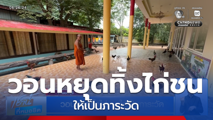 วอนหยุดทิ้งไก่ชน ให้เป็นภาระวัด