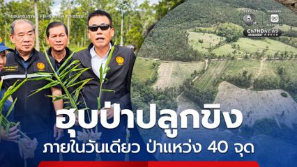 ฮุบป่าต้นน้ำปลูกขิง เชียงใหม่ ป่าแหว่ง 40 จุดภายในวันเดียว