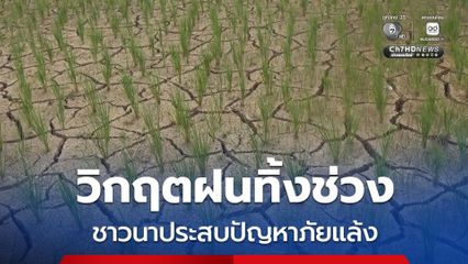 ชาวนา อ.เถิน จ.ลำปาง ประสบปัญหาภัยแล้ง ฝนทิ้งช่วงทำให้ข้าวในนาขาดน้ำ ได้รับผลกระทบกว่า 2,000 ไร่