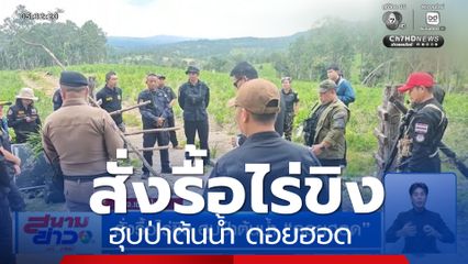 สั่งรื้อไร่ขิง ฮุบป่าต้นน้ำ ดอยฮอด จ.เชียงใหม่